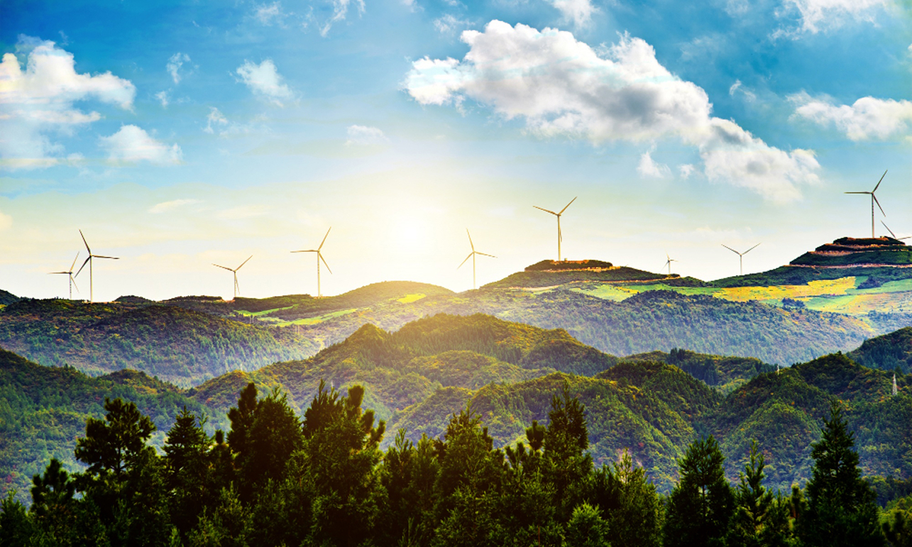 Sustainability Practices